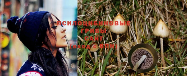 тгк Баксан