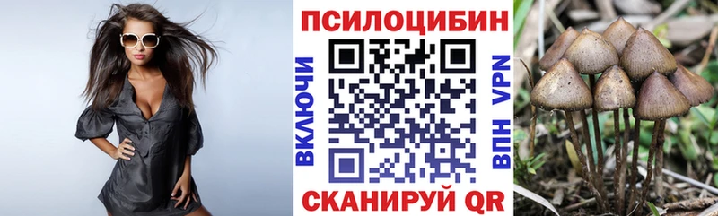 mega ссылки  Сосновоборск  Галлюциногенные грибы Psilocybine cubensis 